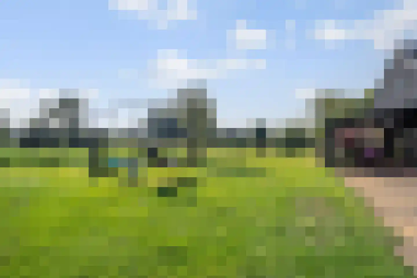 Beekseweg 70 Didam thumbnail 49