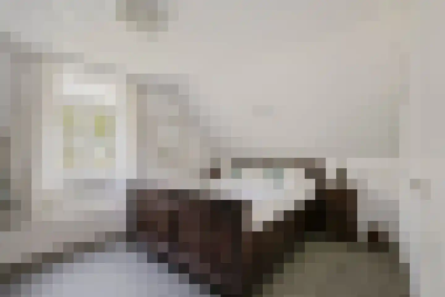 Beekseweg 70 Didam thumbnail 51