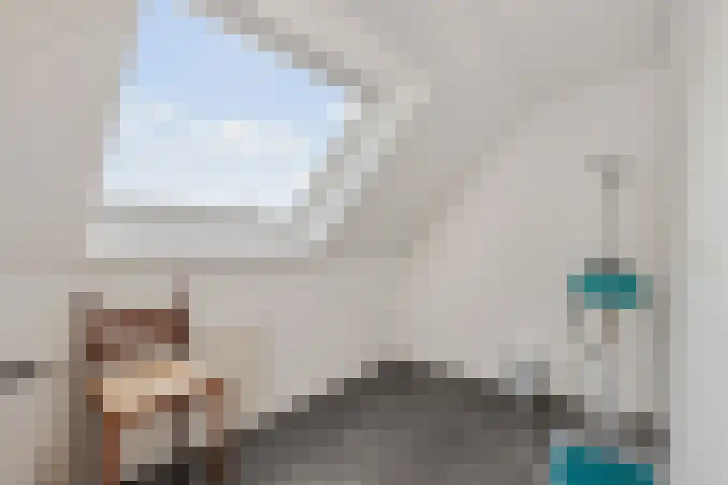 Beekseweg 70 Didam thumbnail 54