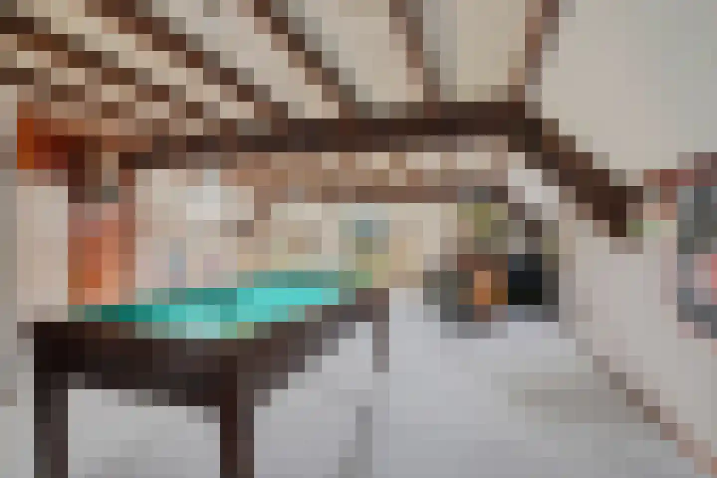 Beekseweg 70 Didam thumbnail 57