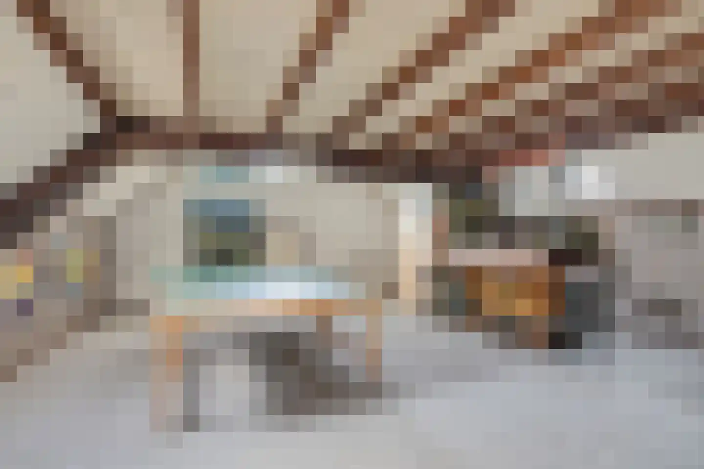 Beekseweg 70 Didam thumbnail 58