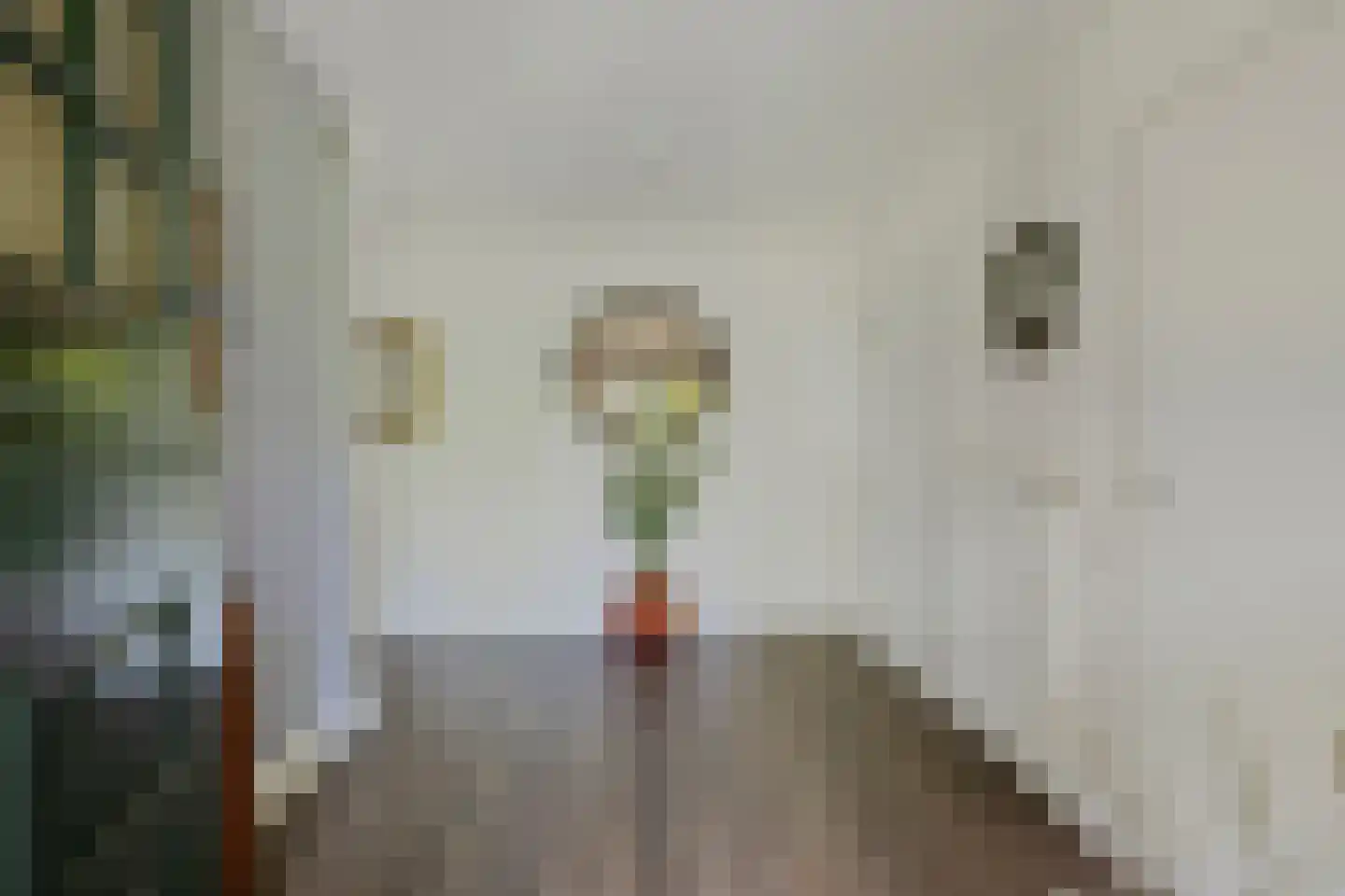 Beekseweg 70 Didam thumbnail 6