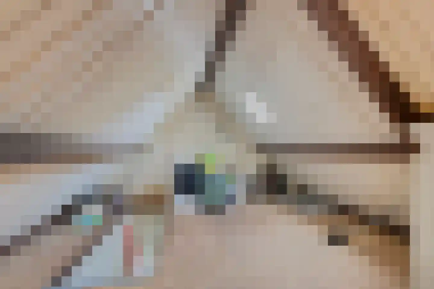 Beekseweg 70 Didam thumbnail 60