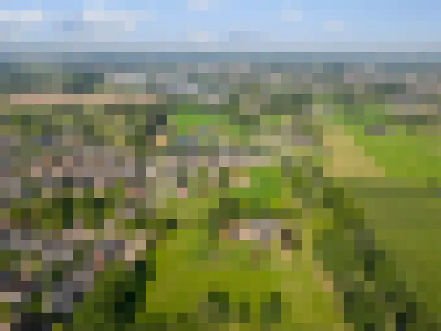 Beekseweg 70 Didam thumbnail 64