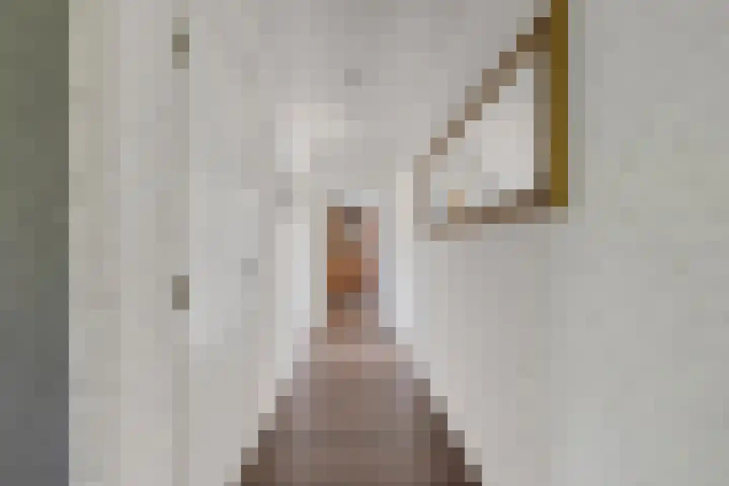 Beekseweg 70 Didam thumbnail 7