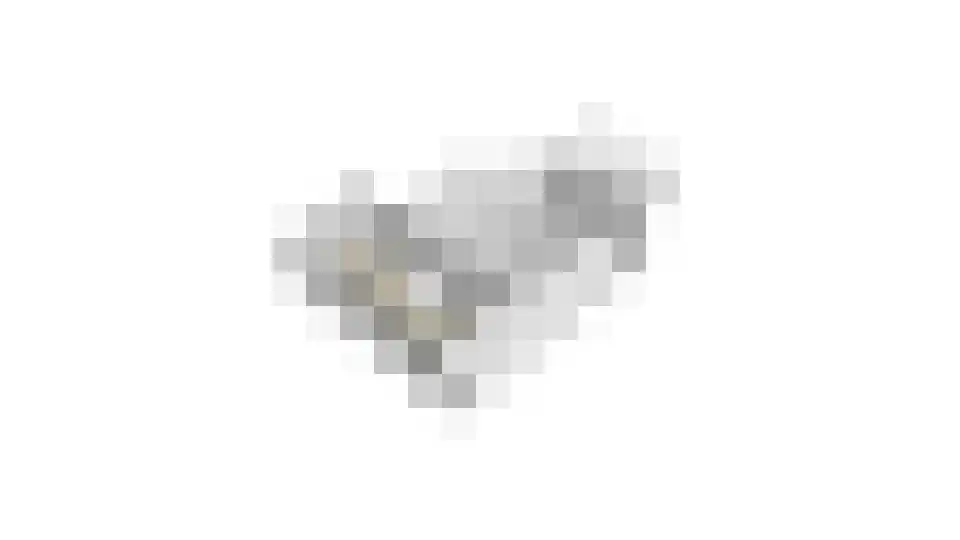 Beekseweg 70 Didam thumbnail 75