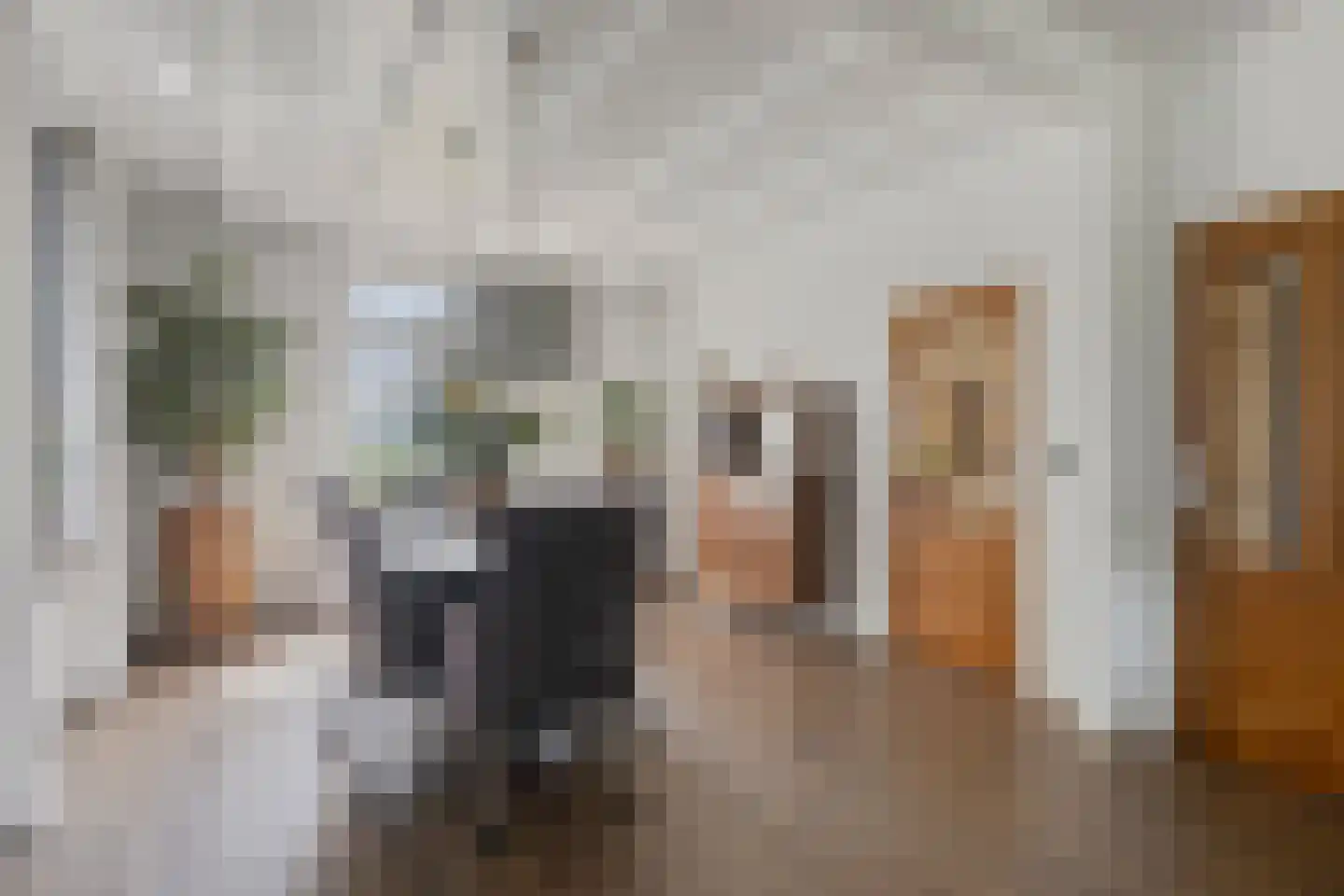Beekseweg 70 Didam thumbnail 9