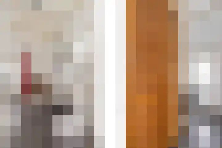 Beekseweg 84 Didam thumbnail 11