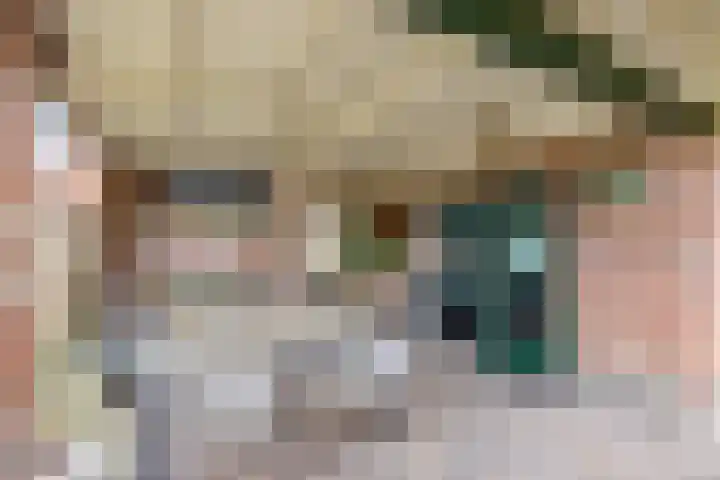 Beekseweg 84 Didam thumbnail 18