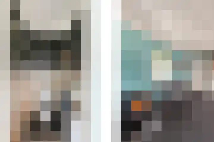Beekseweg 84 Didam thumbnail 22