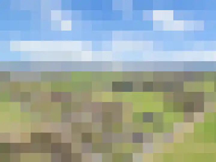 Beekseweg 84 Didam thumbnail 27