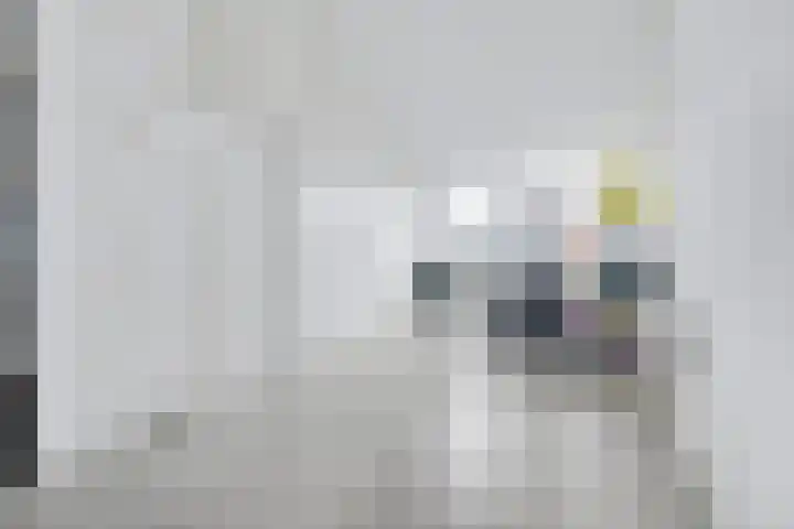 Beekshof 38 Winterswijk Meddo thumbnail 37