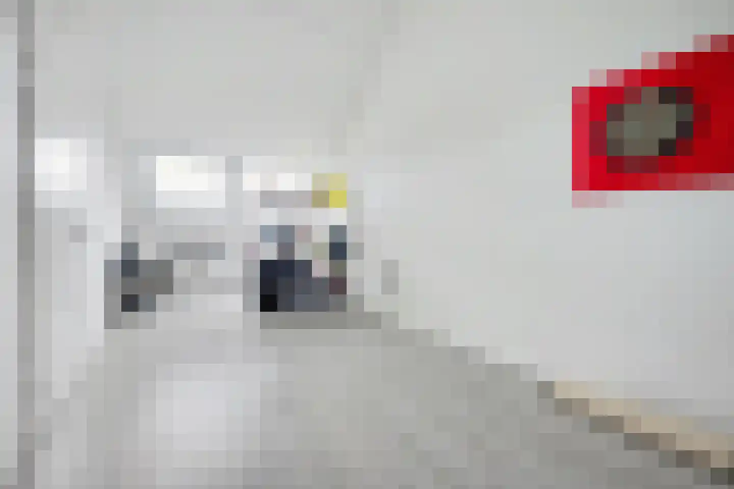 Beekshof 38 Winterswijk Meddo thumbnail 38