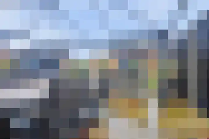 Beekshof 38 Winterswijk Meddo thumbnail 42