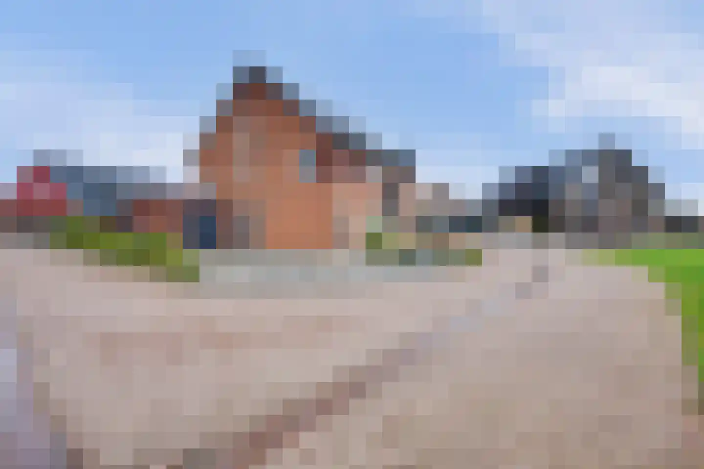 Beekshof 38 Winterswijk Meddo thumbnail 48
