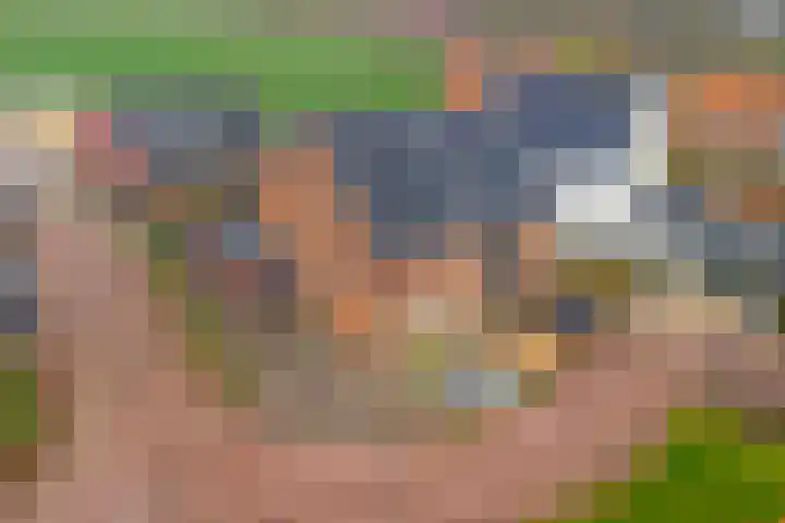 Beekshof 38 Winterswijk Meddo thumbnail 6