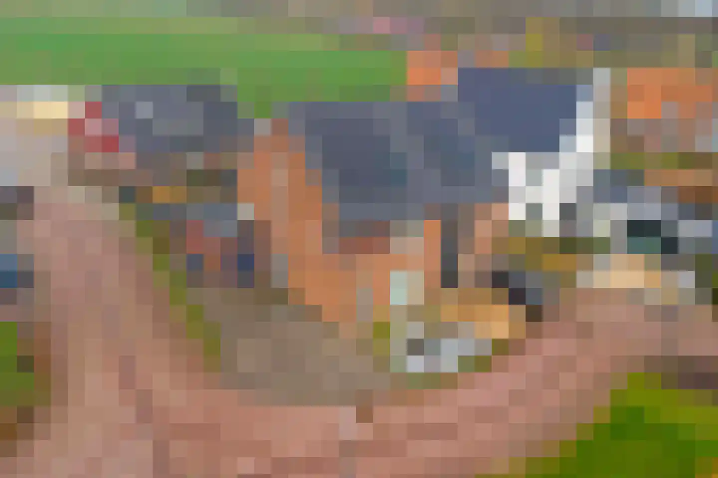 Beekshof 38 Winterswijk Meddo thumbnail 6