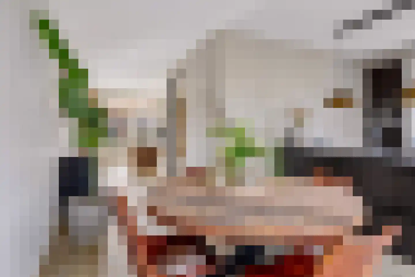 Beeksingel 44 Eibergen thumbnail 15