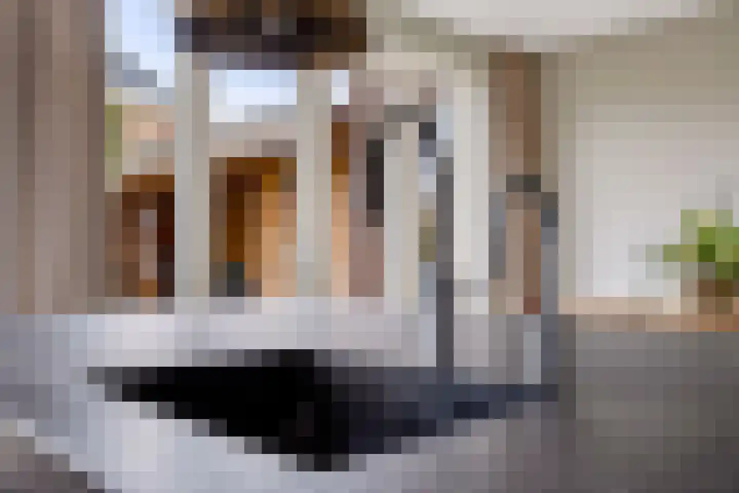 Beeksingel 44 Eibergen thumbnail 21