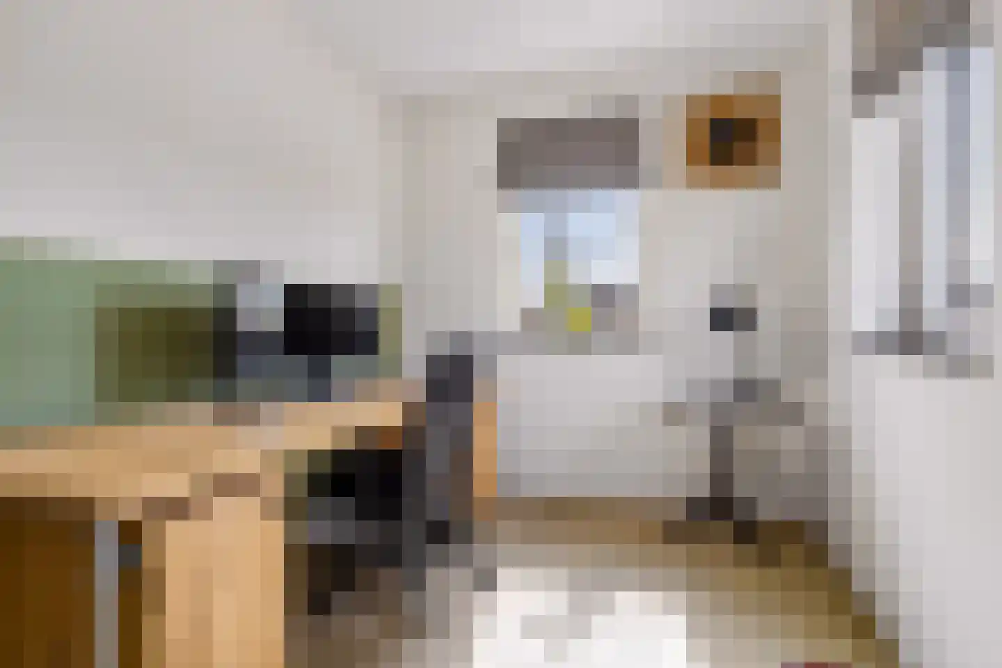 Beeksingel 44 Eibergen thumbnail 27