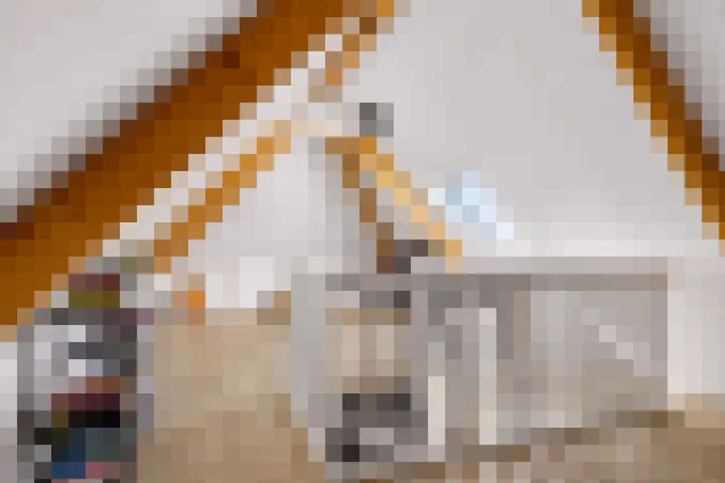Beeksingel 44 Eibergen thumbnail 37