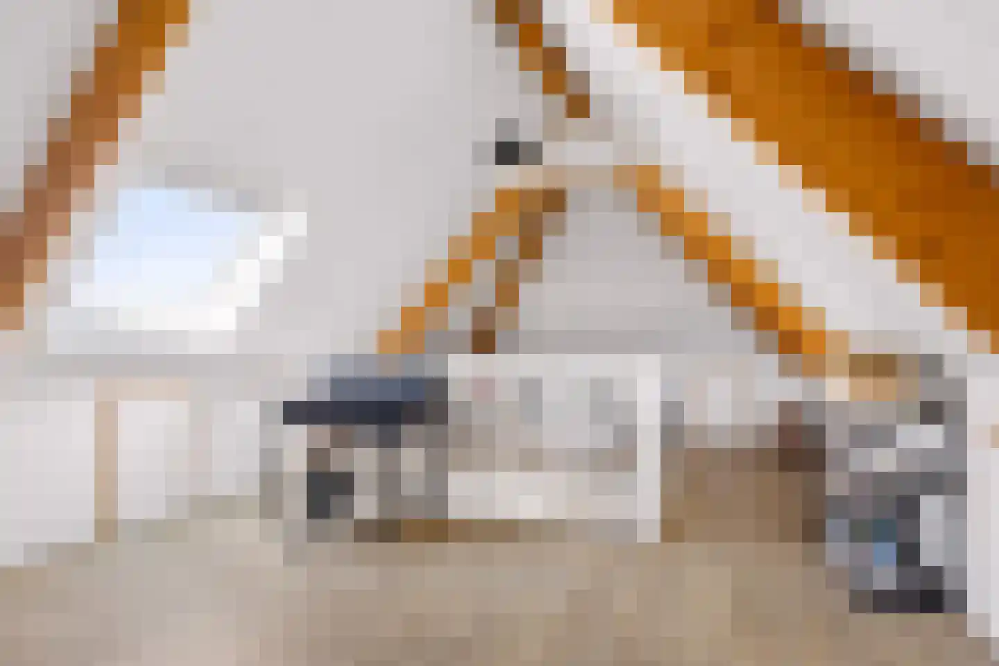 Beeksingel 44 Eibergen thumbnail 38