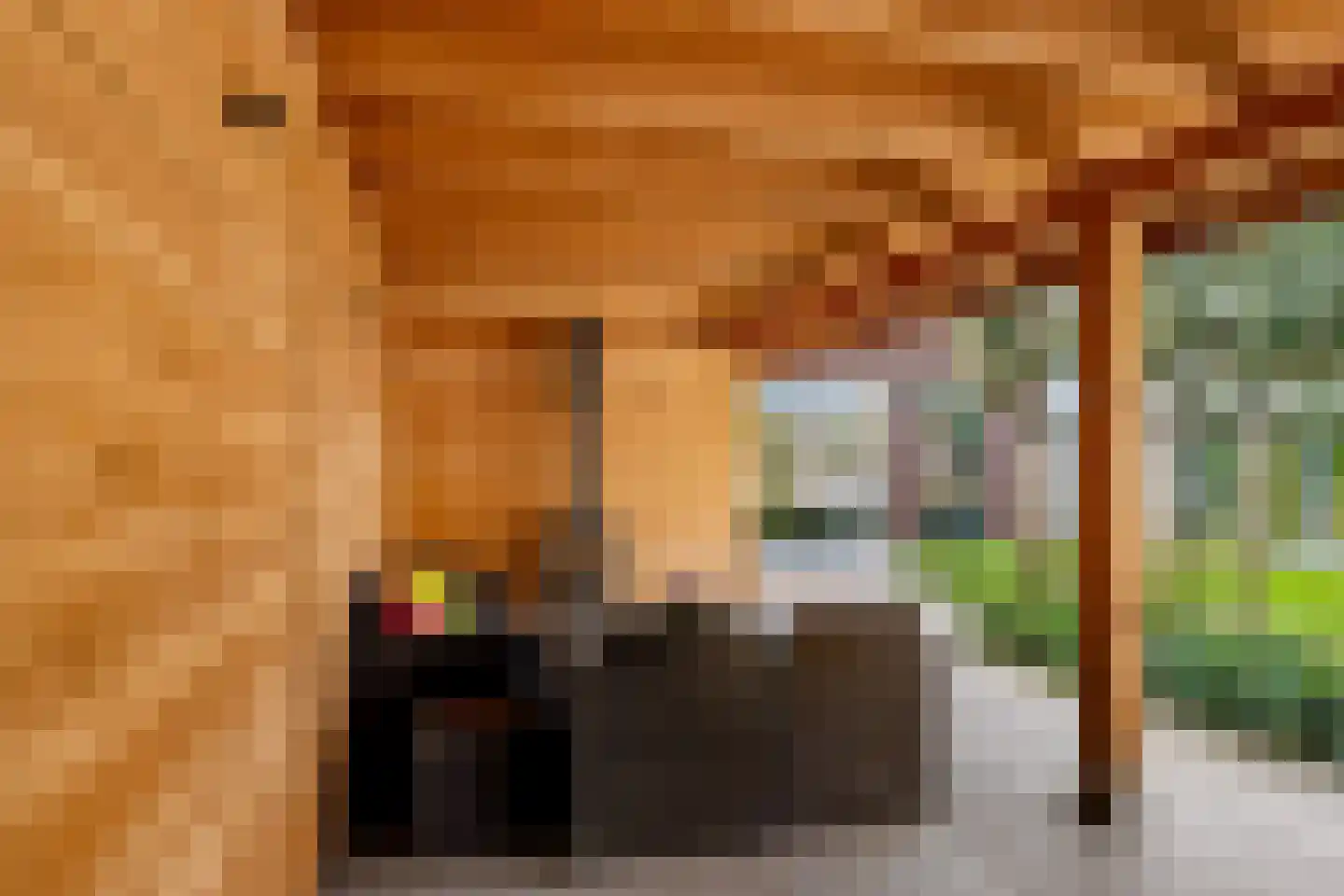 Beeksingel 44 Eibergen thumbnail 46