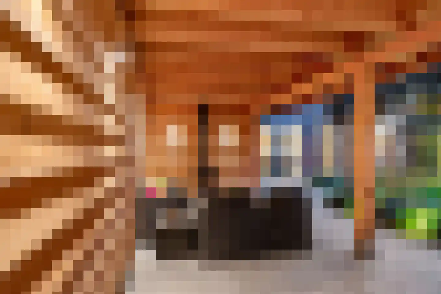Beeksingel 44 Eibergen thumbnail 61