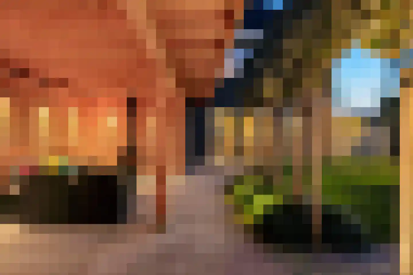 Beeksingel 44 Eibergen thumbnail 63