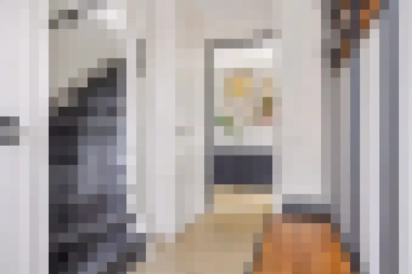 Beeksingel 44 Eibergen thumbnail 9