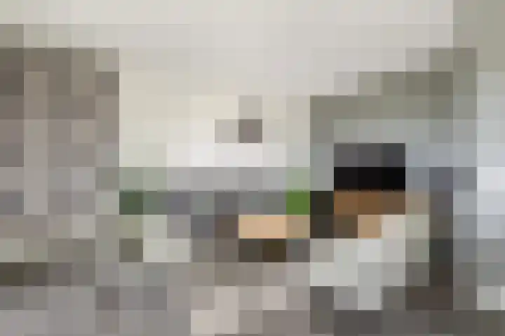 Beeksingel 86 Eibergen thumbnail 14