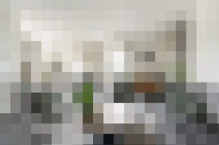 Beeksingel 86 Eibergen thumbnail 15