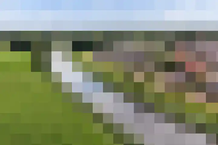 Beeksingel 86 Eibergen thumbnail 36