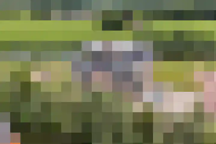 Beeksingel 86 Eibergen thumbnail 37