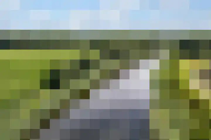 Beeksingel 86 Eibergen thumbnail 39
