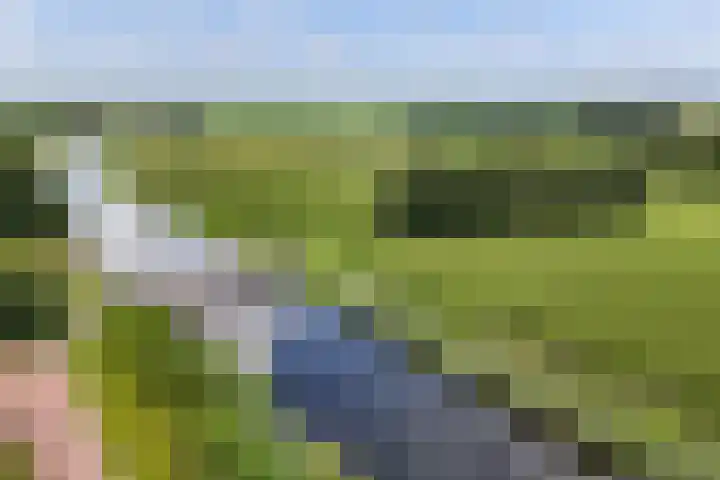 Beeksingel 86 Eibergen thumbnail 40