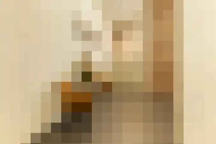 Beeksingel 86 Eibergen thumbnail 7