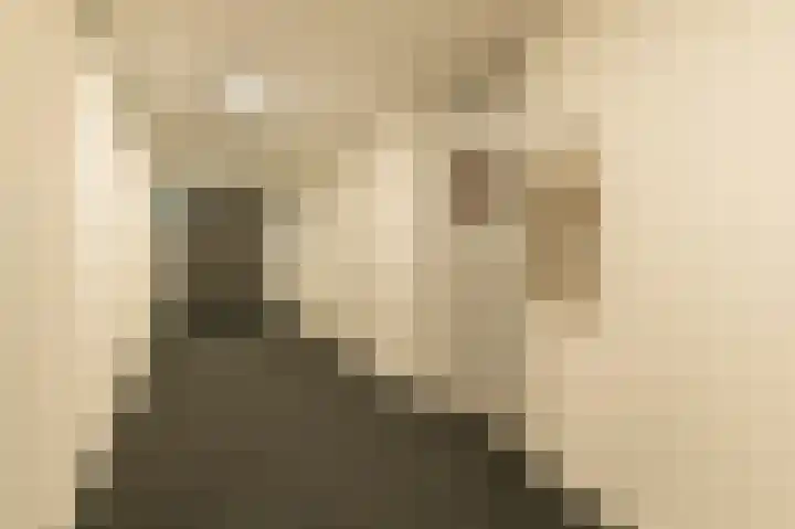 Beeksingel 86 Eibergen thumbnail 9