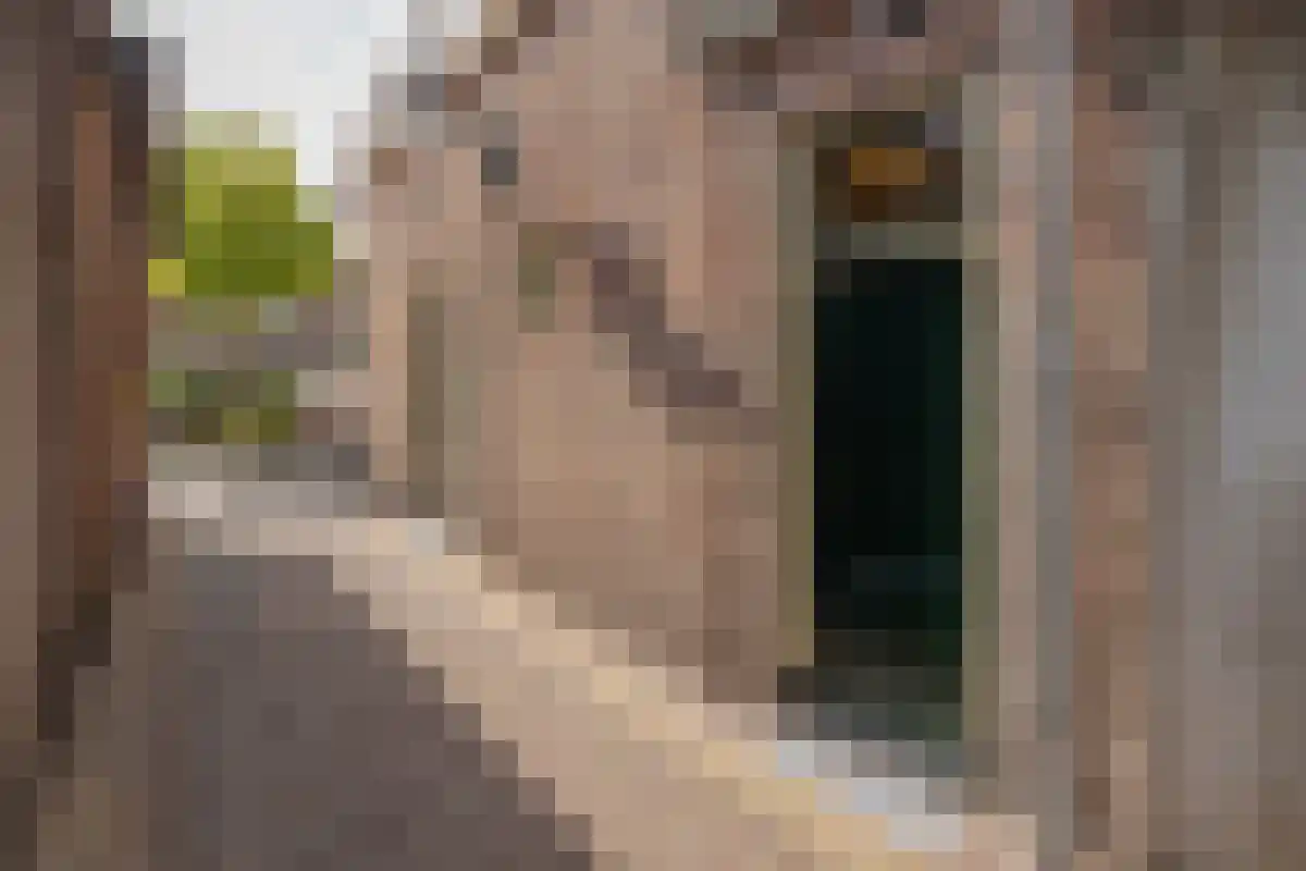 Beeksteeg 20 Haarlem thumbnail 5