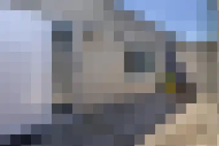 Beekstraat 1 L Apeldoorn thumbnail 14