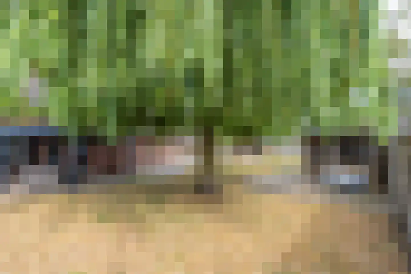 Beekstraat 1 Wanroij thumbnail 12