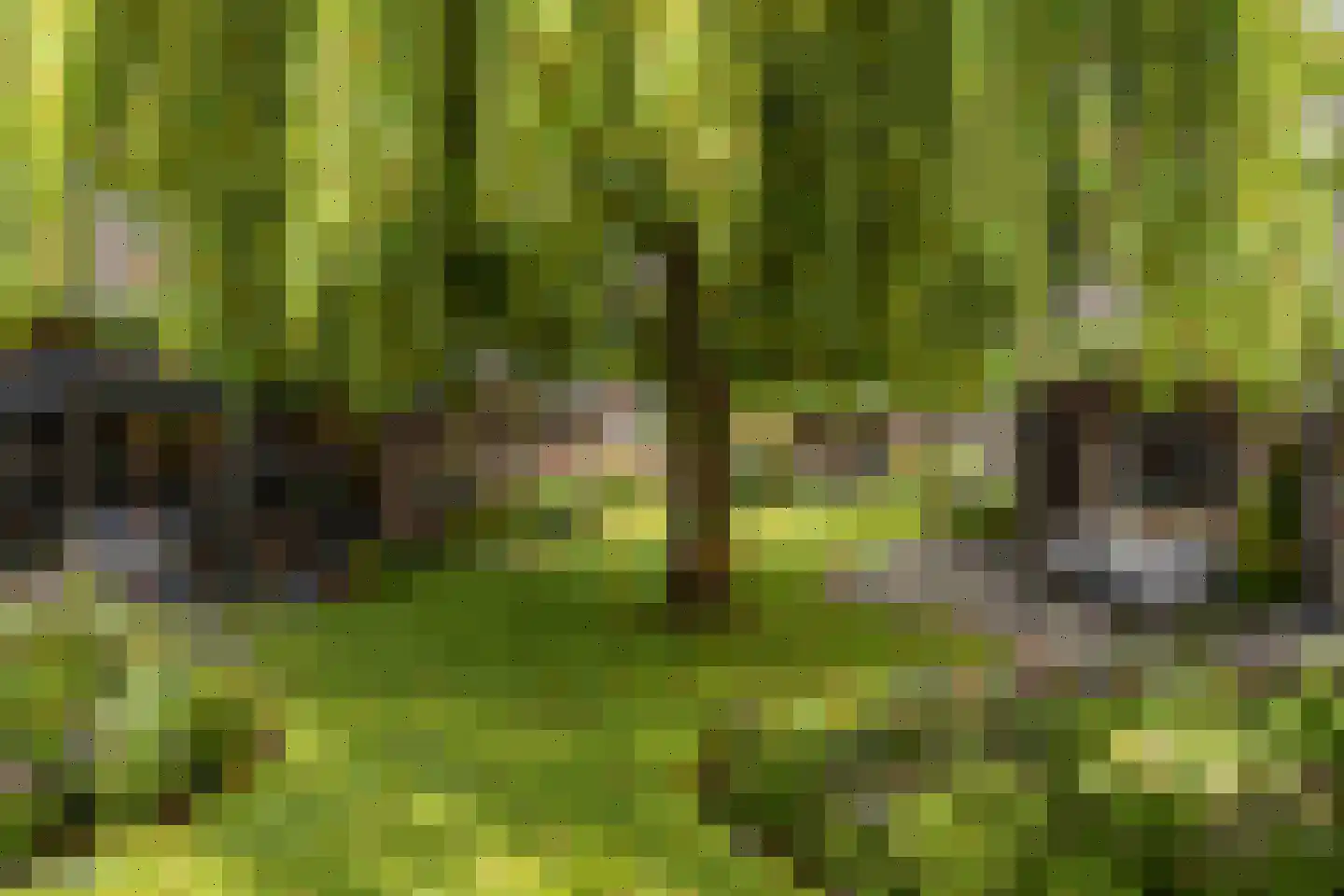 Beekstraat 1 Wanroij thumbnail 13