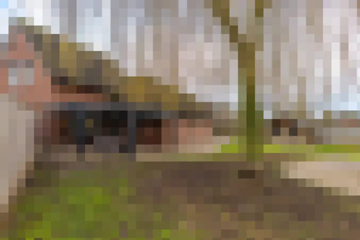Beekstraat 1 Wanroij thumbnail 14