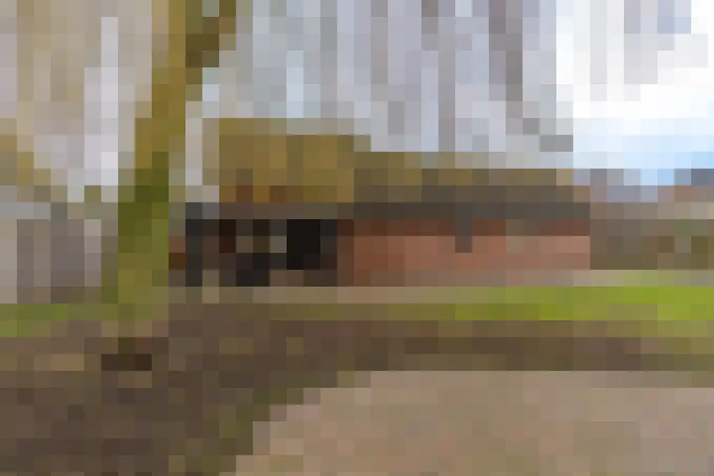 Beekstraat 1 Wanroij thumbnail 15