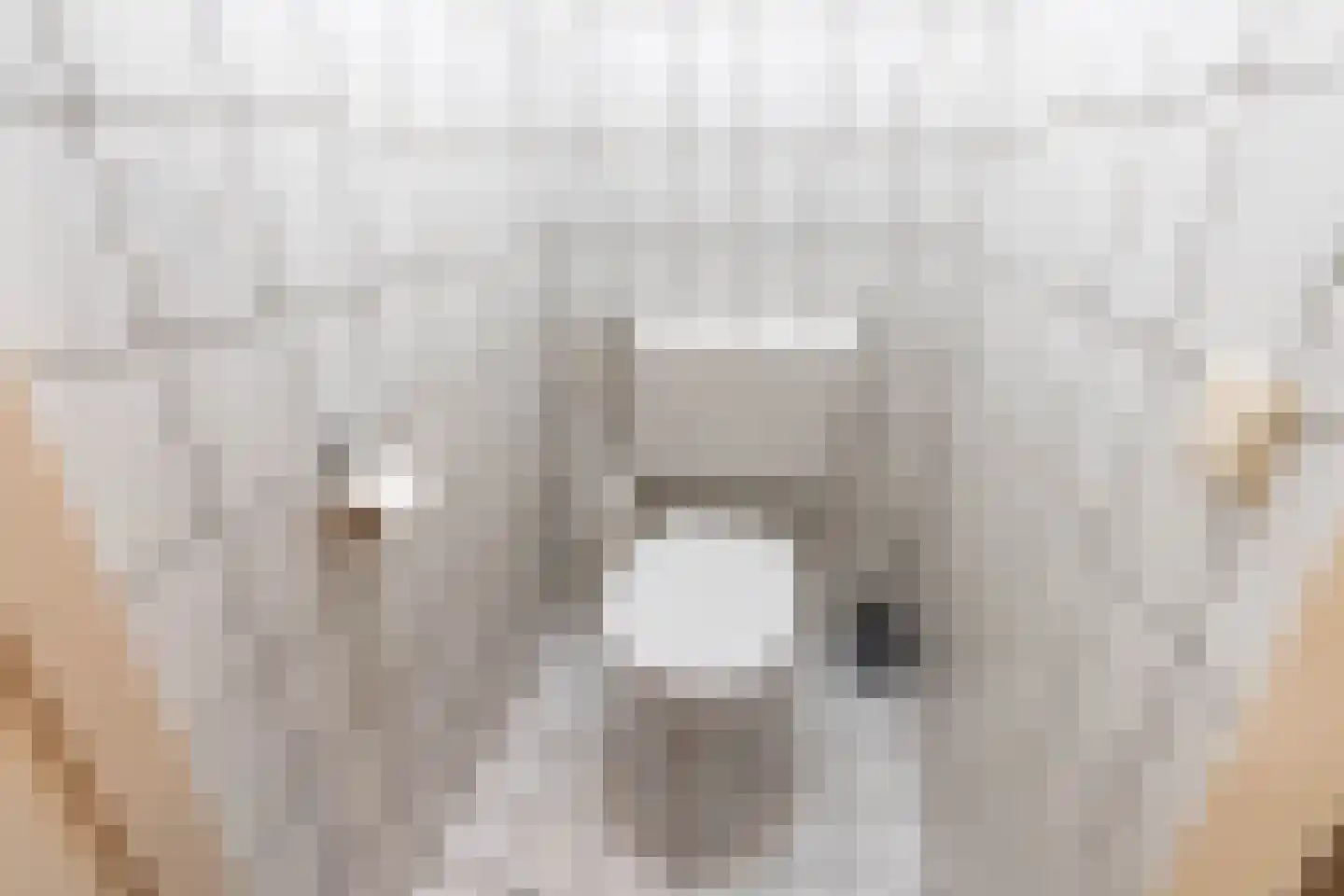 Beekstraat 1 Wanroij thumbnail 29