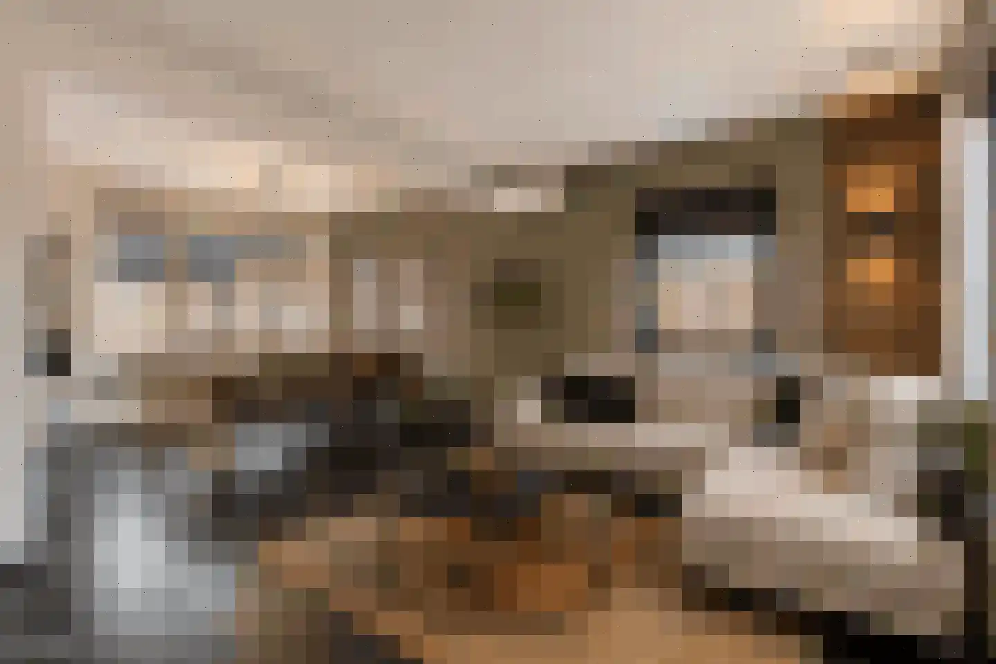 Beekstraat 1 Wanroij thumbnail 45