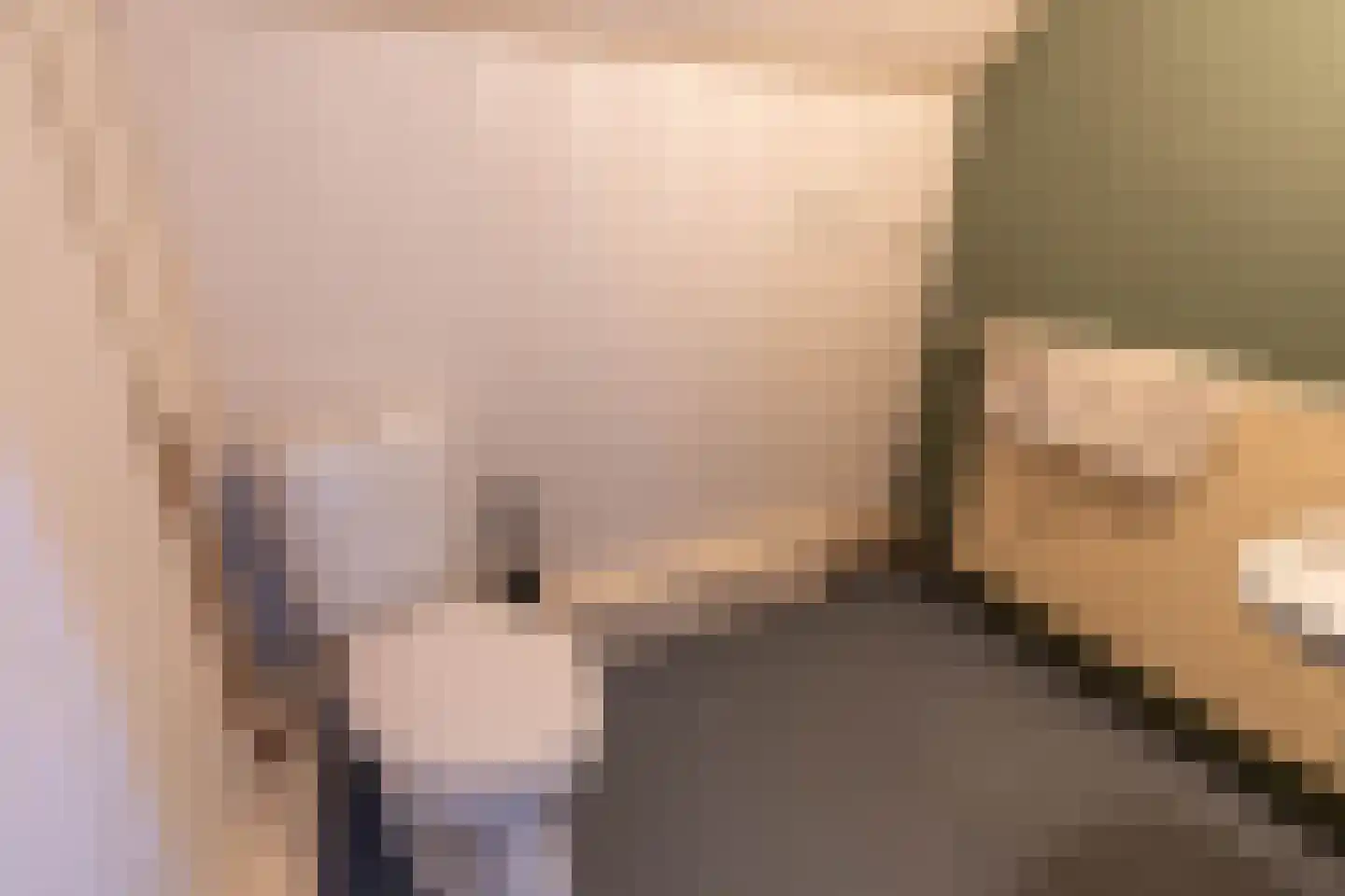 Beekstraat 1 Wanroij thumbnail 58