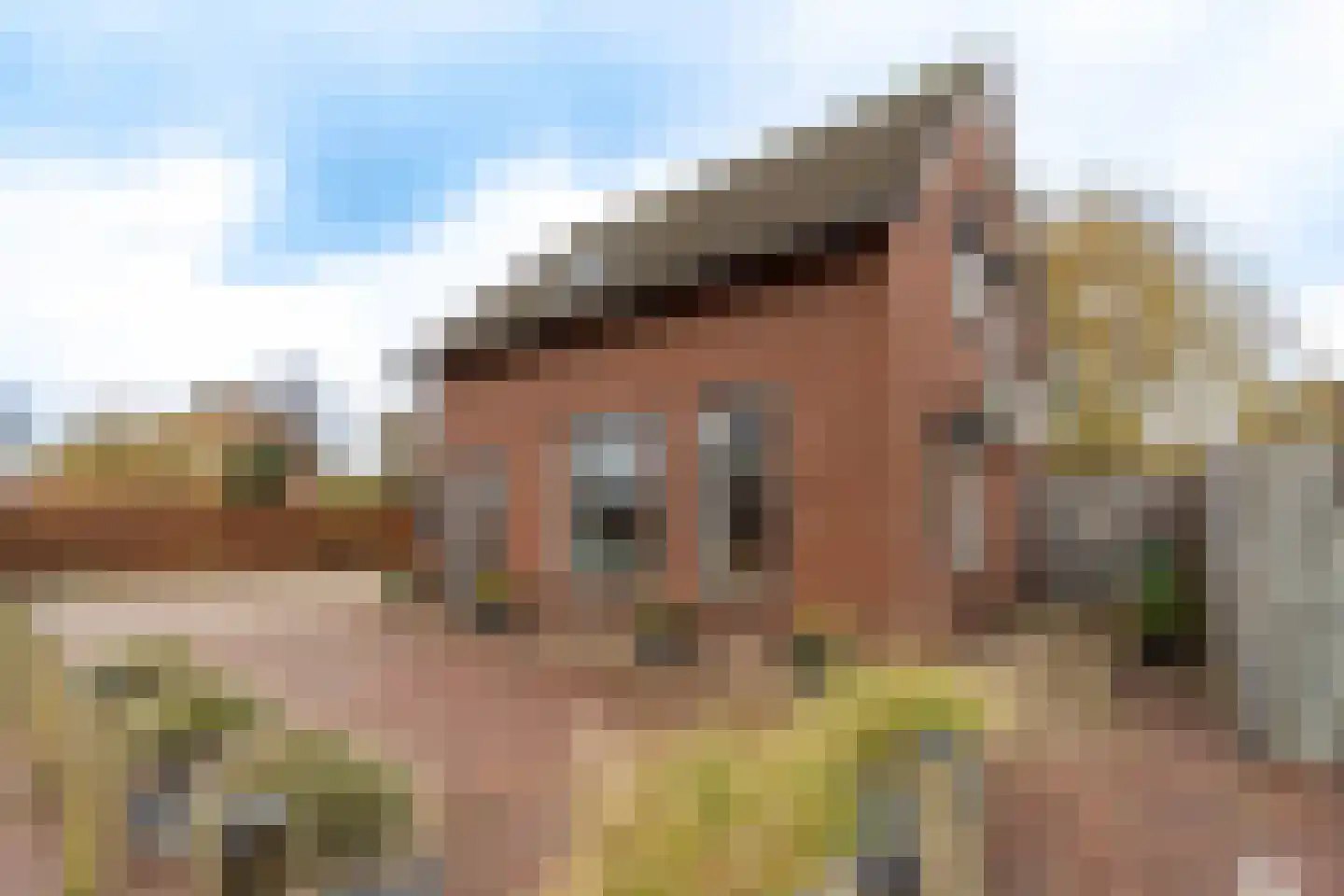 Beekstraat 1 Wanroij thumbnail 6