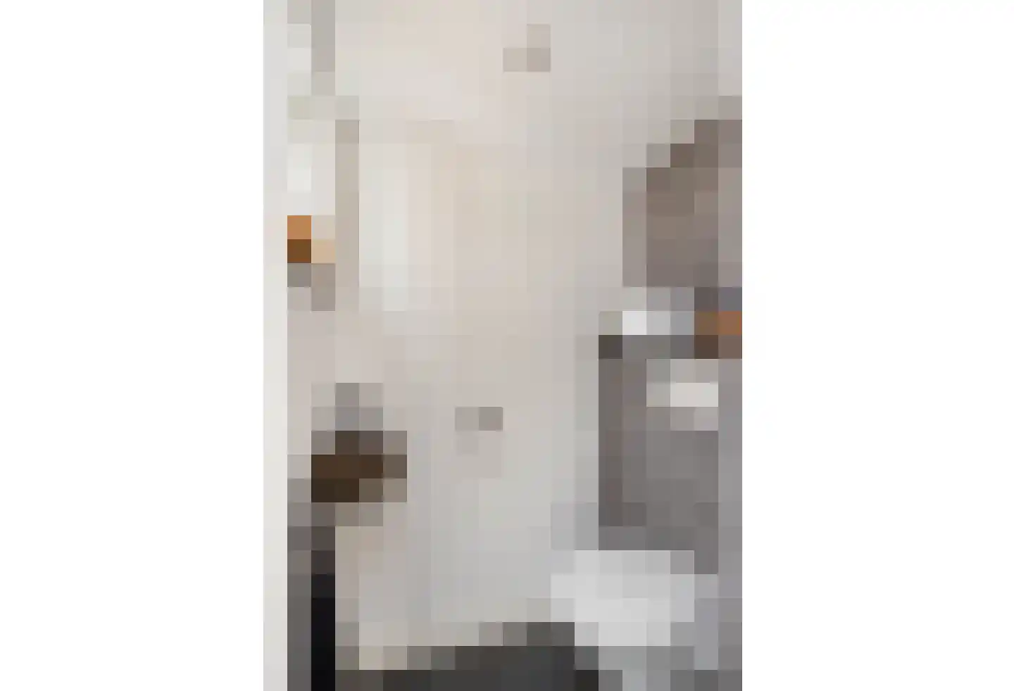 Beekstraat 102 Geleen thumbnail 31