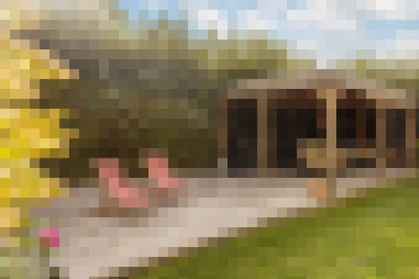 Beekstraat 102 Geleen thumbnail 60